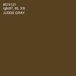 #574121 - Judge Gray Color Image