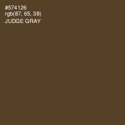 #574126 - Judge Gray Color Image