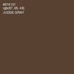 #574131 - Judge Gray Color Image