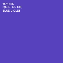 #5741BC - Blue Violet Color Image