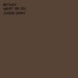 #574437 - Judge Gray Color Image