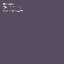 #574C60 - Scarpa Flow Color Image
