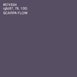 #574E64 - Scarpa Flow Color Image