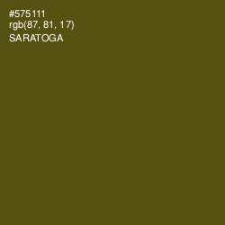 #575111 - Saratoga Color Image