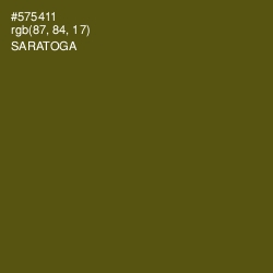 #575411 - Saratoga Color Image