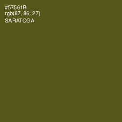 #57561B - Saratoga Color Image