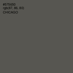 #575650 - Chicago Color Image