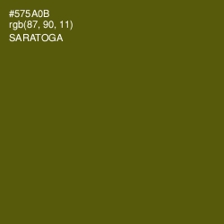 #575A0B - Saratoga Color Image