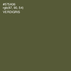 #575A36 - Verdigris Color Image