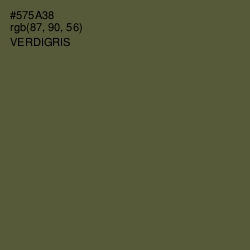 #575A38 - Verdigris Color Image