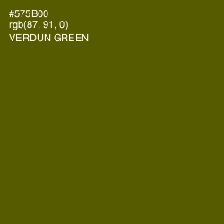 #575B00 - Verdun Green Color Image