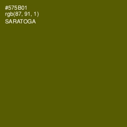 #575B01 - Saratoga Color Image