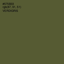 #575B33 - Verdigris Color Image