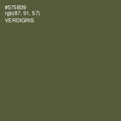 #575B39 - Verdigris Color Image