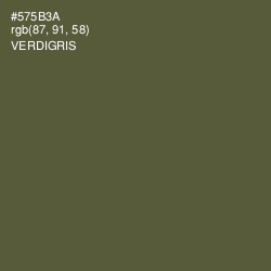 #575B3A - Verdigris Color Image