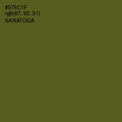 #575C1F - Saratoga Color Image