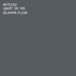 #575C62 - Scarpa Flow Color Image