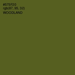 #575F20 - Woodland Color Image