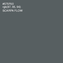 #575F60 - Scarpa Flow Color Image