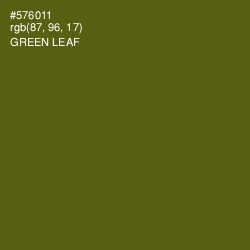 #576011 - Green Leaf Color Image