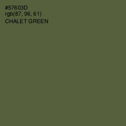 #57603D - Chalet Green Color Image