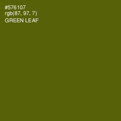 #576107 - Green Leaf Color Image