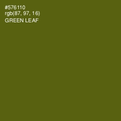 #576110 - Green Leaf Color Image