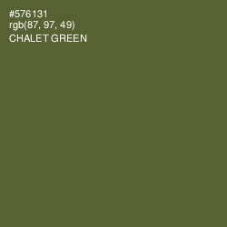 #576131 - Chalet Green Color Image