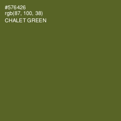 #576426 - Chalet Green Color Image