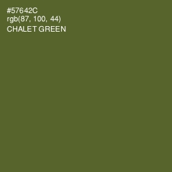 #57642C - Chalet Green Color Image