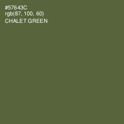 #57643C - Chalet Green Color Image