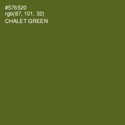 #576520 - Chalet Green Color Image