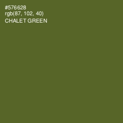 #576628 - Chalet Green Color Image