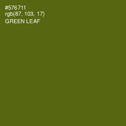 #576711 - Green Leaf Color Image