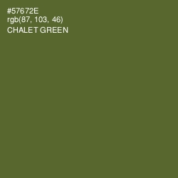 #57672E - Chalet Green Color Image