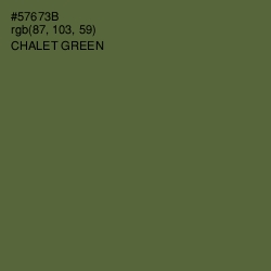 #57673B - Chalet Green Color Image