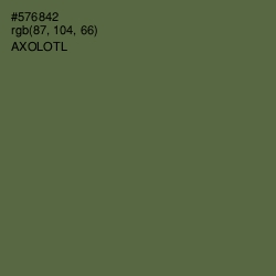 #576842 - Axolotl Color Image