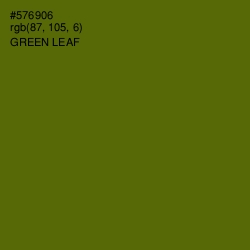 #576906 - Green Leaf Color Image