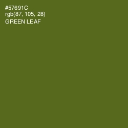 #57691C - Green Leaf Color Image