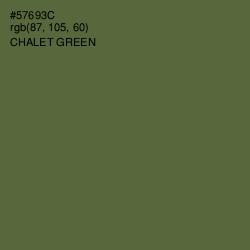 #57693C - Chalet Green Color Image