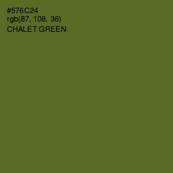 #576C24 - Chalet Green Color Image