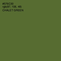 #576C30 - Chalet Green Color Image