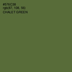 #576C38 - Chalet Green Color Image