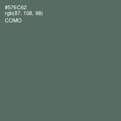 #576C62 - Como Color Image