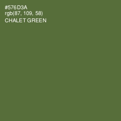 #576D3A - Chalet Green Color Image