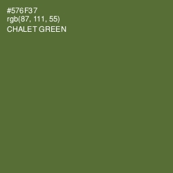 #576F37 - Chalet Green Color Image