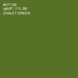 #577126 - Chalet Green Color Image