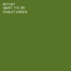 #577427 - Chalet Green Color Image