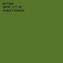 #57752A - Chalet Green Color Image