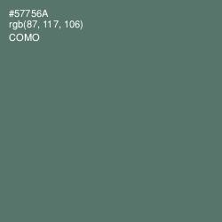 #57756A - Como Color Image